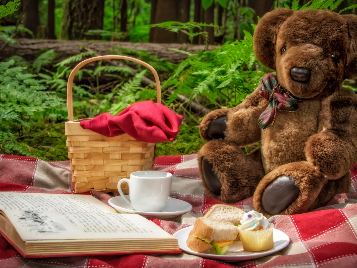 Teddy Bears Picnic