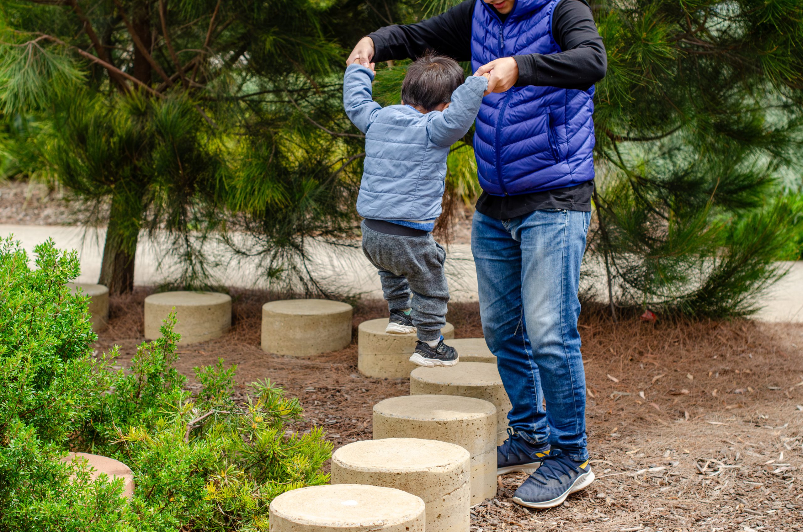 A parent, a man or father helps a young Asian child balance while walking across stepping stones in a landscaped garden in an outdoor park. Parental guidance and childhood development in playground